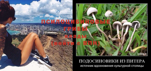 стаф Абдулино