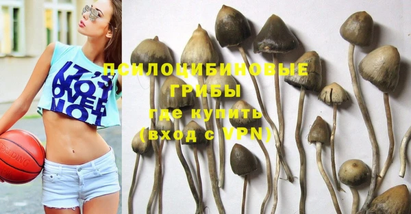 стаф Абдулино
