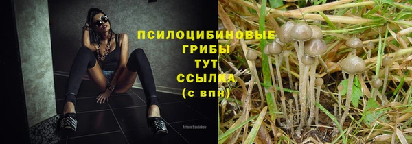 таблы Нефтекумск