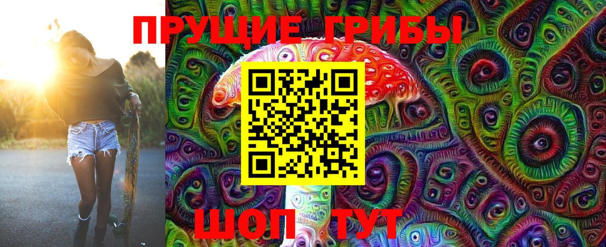Курчатов  Галлюциногенные грибы GOLDEN TEACHER  Галлюциногенные грибы MAGIC MUSHROOMS  Вход с VPN 