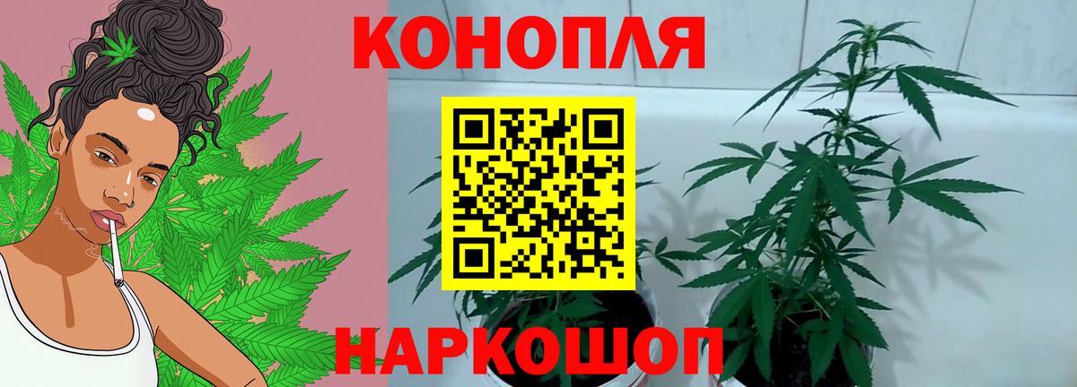 Канабис семена  МАРИХУАНА OG Kush  Курчатов  Канабис Amnesia  Вход с VPN 